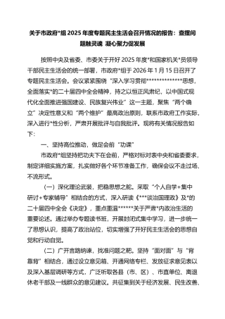 关于市政府2025年度专题民主生活会召开情况的报告：查摆问题触灵魂+凝心聚力促发展