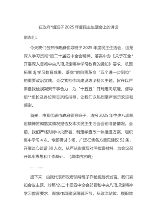 在政府班子2025年度民主生活会上的讲话