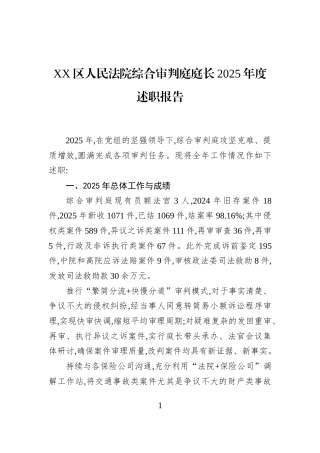 XX区人民法院综合审判庭庭长2025年度述职报告
