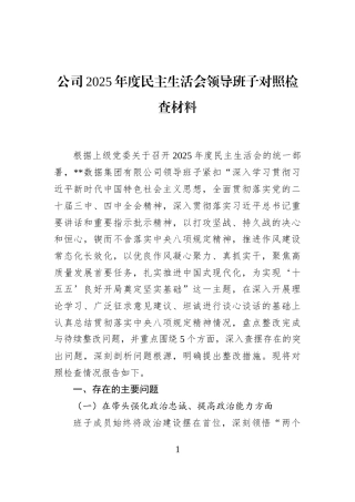 公司2025年度民主生活会领导班子对照检查材料