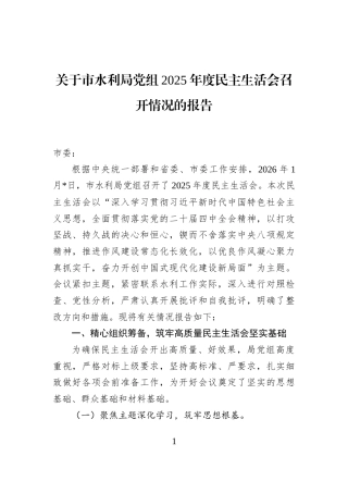 关于市水利局党组2025年度民主生活会召开情况的报告