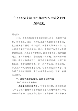在XXX党支部2025年度组织生活会上的点评意见