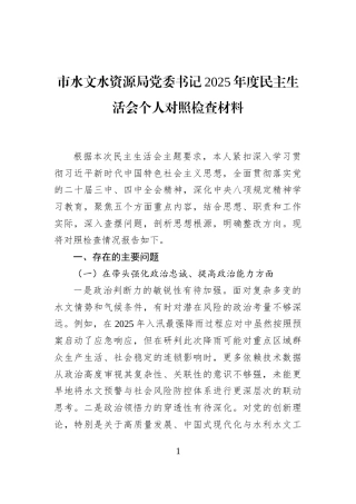 市水文水资源局党委书记2025年度民主生活会个人对照检查材料