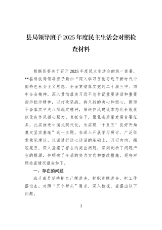 县局领导班子2025年度民主生活会对照检查材料
