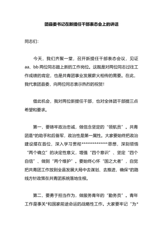 团县委书记在新提任干部表态会上的讲话