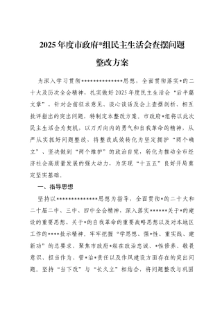 2025年度市政府民主生活会查摆问题整改方案