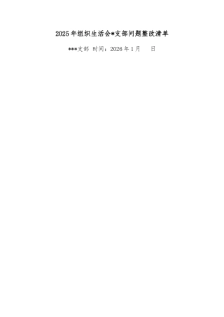2025年组织生活会支部问题整改清单