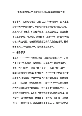 市委组织部2025年度民主生活会查摆问题整改方案
