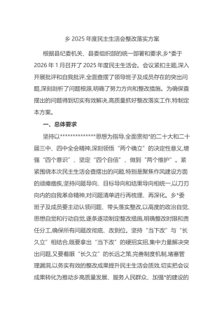 乡2025年度民主生活会整改落实方案