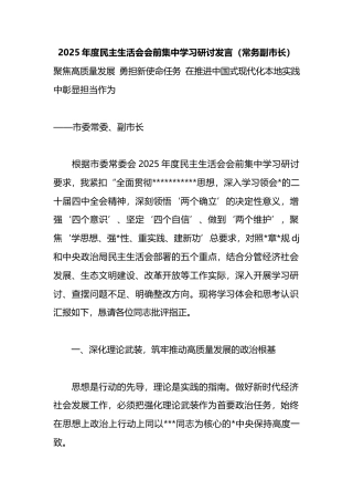 2025年度民主生活会会前集中学习研讨发言（常务副市长）