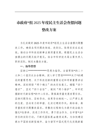 市政府2025年度民主生活会查摆问题整改方案