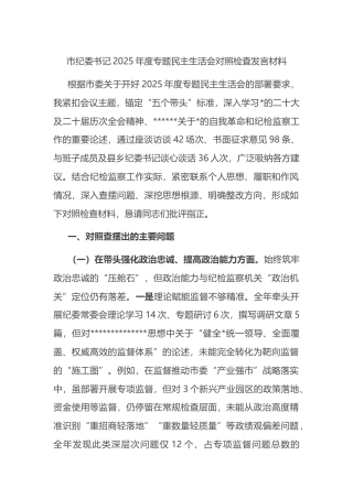 市纪委书记2025年度专题民主生活会对照检查发言材料