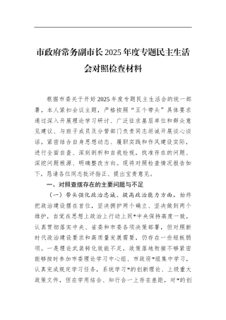 市政府常务副市长2025年度专题民主生活会对照检查材料
