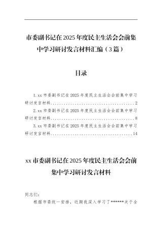 市委副书记在2025年度民主生活会会前集中学习研讨发言材料汇编（3篇）