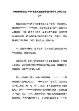 市政府秘书长在2025年度民主生活会会前集中学习研讨发言材料