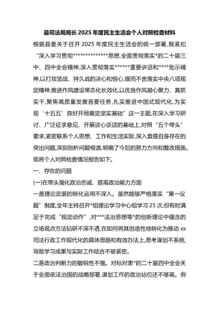县司法局局长2025年度民主生活会个人对照检查材料