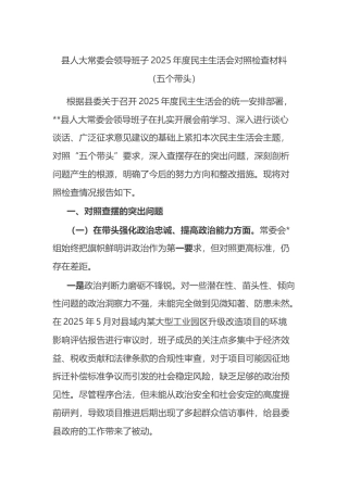 县人大常委会领导班子2025年度民主生活会对照检查材料