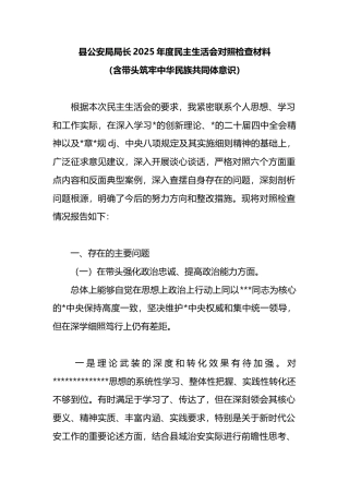 县公安局局长2025年度民主生活会对照检查材料（含带头筑牢中华民族共同体意识）