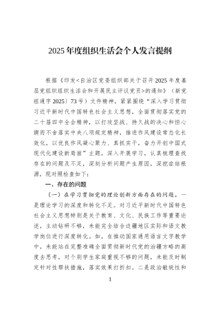 2025年度组织生活会个人发言提纲