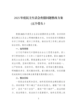 2025年度民主生活会查摆问题整改方案+(五个带头）