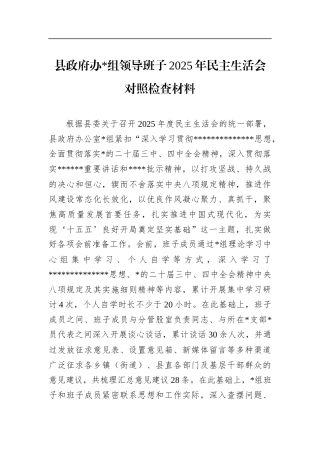 县政府办领导班子2025年民主生活会对照检查材料