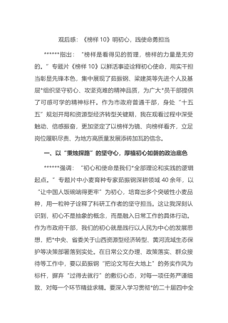 观后感：《榜样10》明初心，践使命勇担当