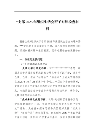 支部2025年组织生活会班子对照检查材料