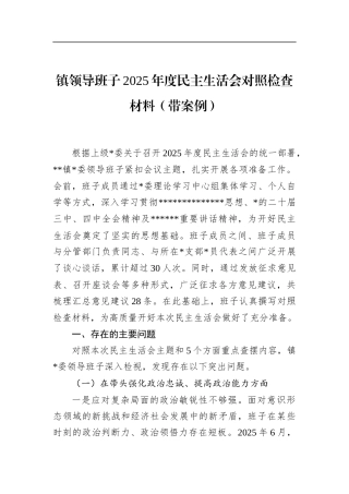 镇领导班子2025年度民主生活会对照检查材料（带案例）