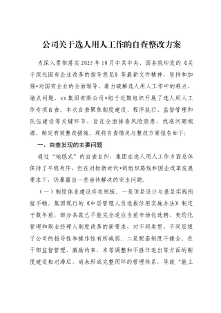 公司关于选人用人工作的自查整改方案