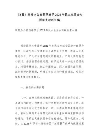 政府办公室领导班子2025年民主生活会对照检查材料汇编（3篇）
