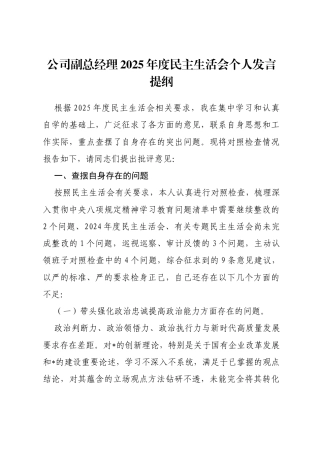 公司副总经理2025年度民主生活会个人发言提纲(带案例)