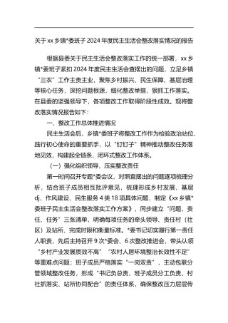 关于XX乡镇班子2024年度民主生活会整改落实情况的报告