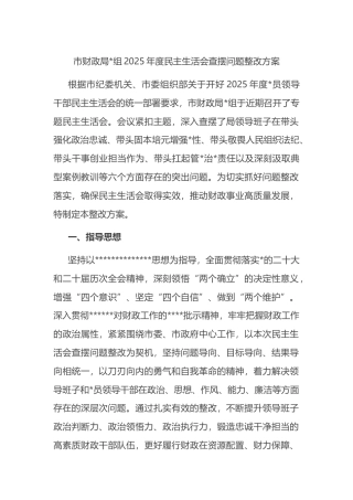 市财政局2025年度民主生活会查摆问题整改方案