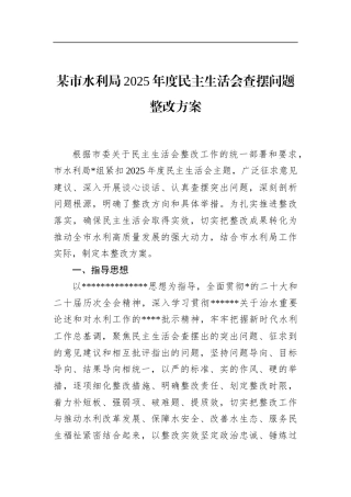 市水利局2025年度民主生活会查摆问题整改方案