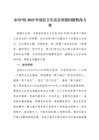市局2025年度民主生活会查摆问题整改方案