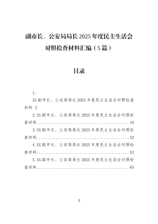 副市长、公安局局长2025年度民主生活会对照检查材料汇编（5篇）