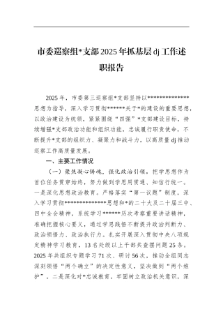 市委巡察组支部2025年抓基层党建工作述职报告