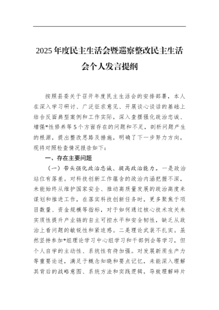 2025年度民主生活会暨巡察整改民主生活会个人发言提纲