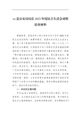 县公安局局长2025年度民主生活会对照检查材料