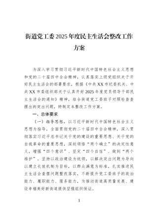 街道党工委2025年度民主生活会整改工作方案