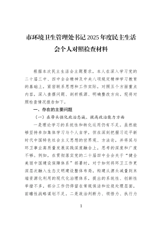 市环境卫生管理处书记2025年度民主生活会个人对照检查材料