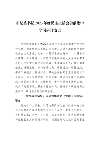 市纪委书记2025年度民主生活会会前集中学习研讨发言