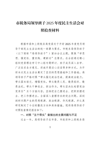 市税务局领导班子2025年度民主生活会对照检查材料