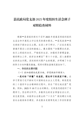 县民政局党支部2025年度组织生活会班子对照检查材料