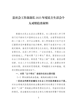 县社会工作部部长2025年度民主生活会个人对照检查材料