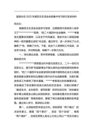 副县长在2025年度民主生活会会前集中学习研讨发言材料