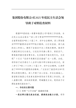 集团股份有限公司2025年度民主生活会领导班子对照检查材料