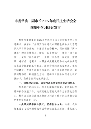 市委常委、副市长2025年度民主生活会会前集中学习研讨发言