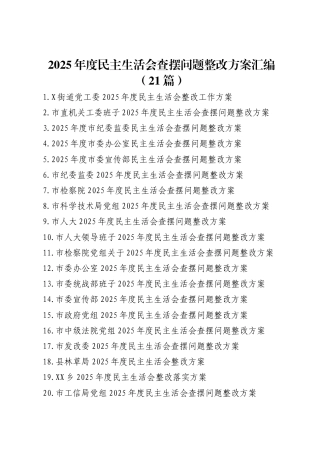 2025年度民主生活会整改工作方案汇编（21篇）