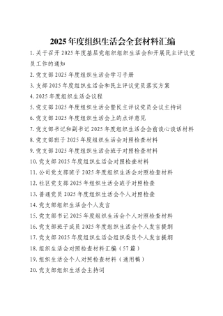 2025年度组织生活会材料汇编（全套全流程资料）